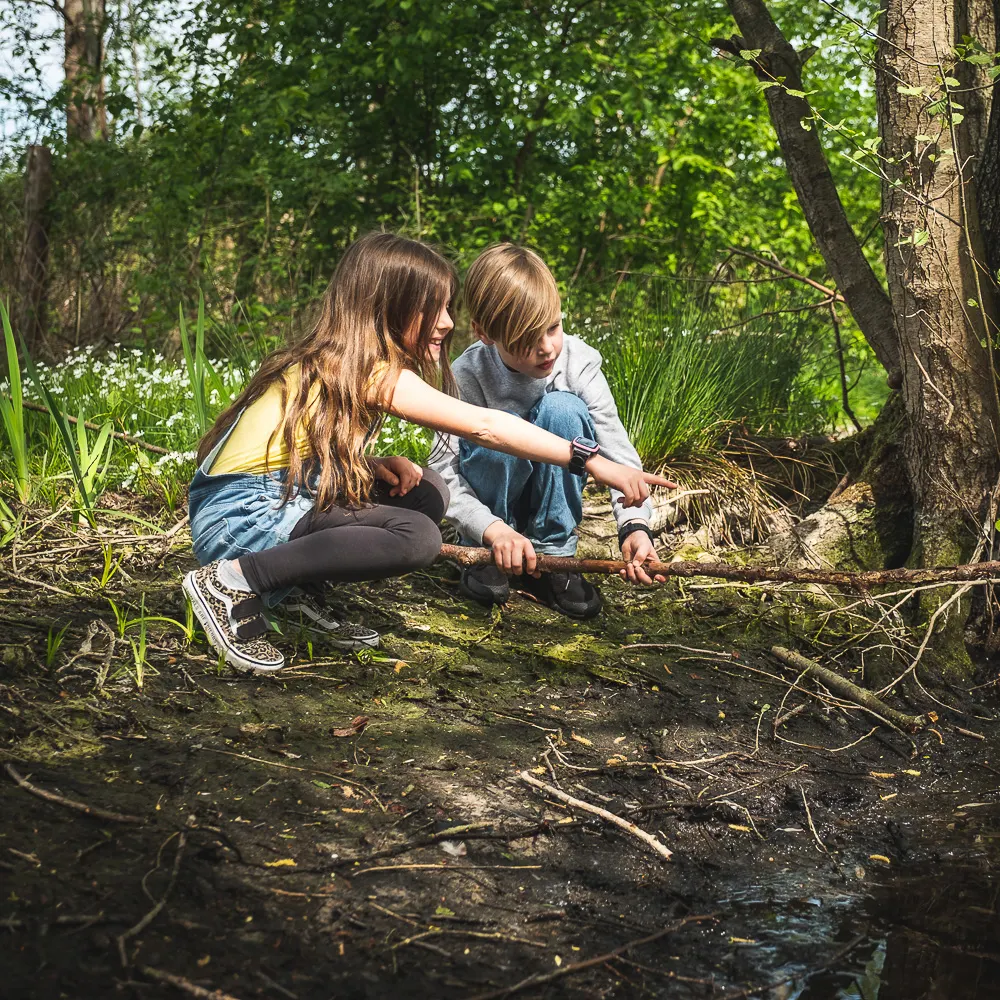 Plantera ett träd XPLORA