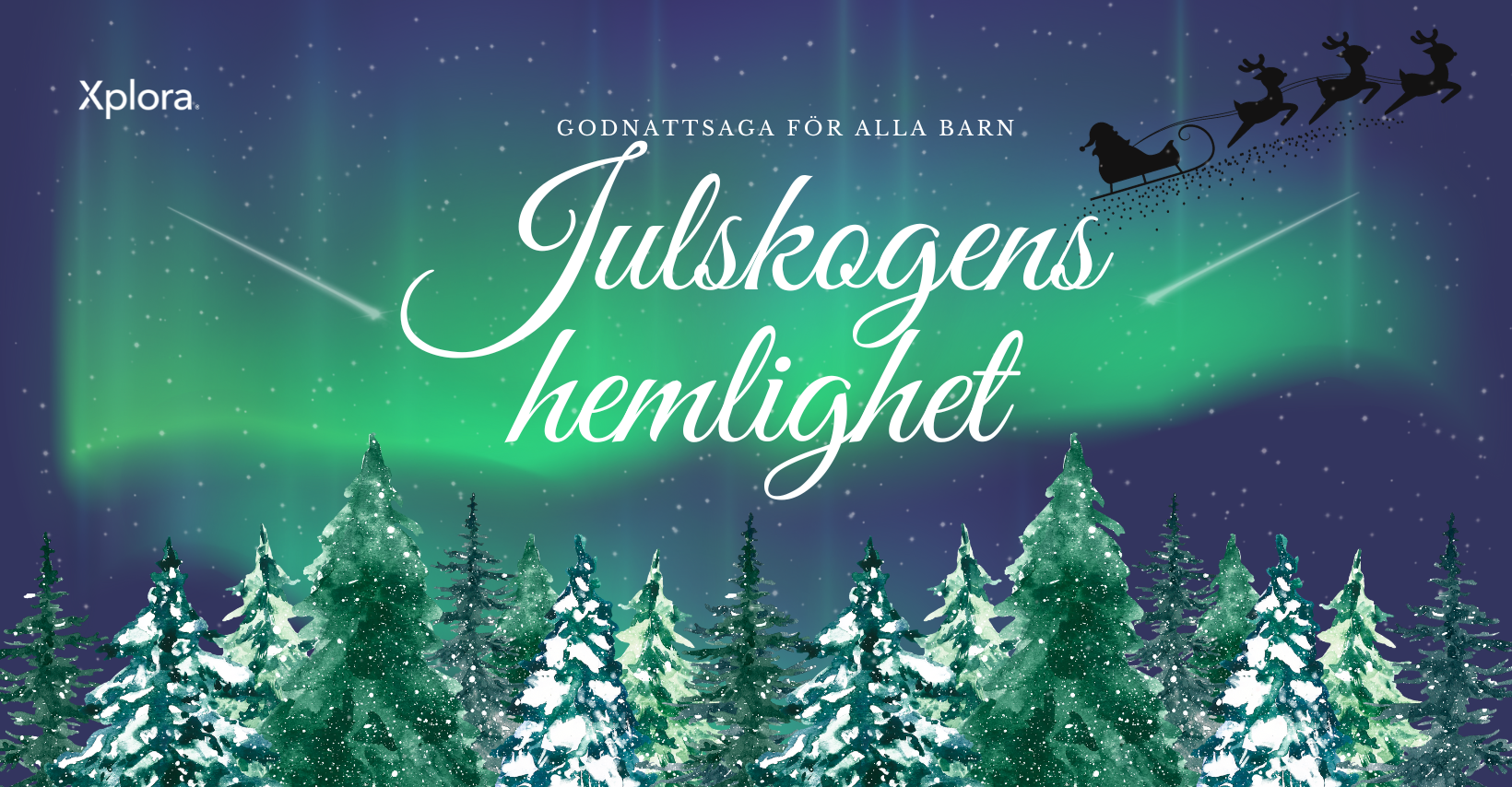 En fantastisk julsaga: Julskogens hemlighet